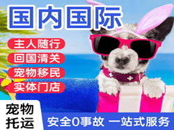 黑河瑷珲机场邮寄国际宠物托运 【国